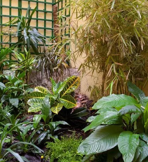 Fotos del hotel Ateneo Puerta Del Sol:  7