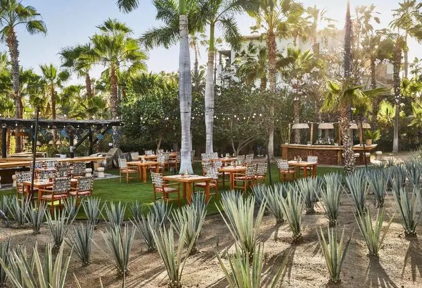 Fotos del hotel Esperanza, Auberge Resorts Collection:  8