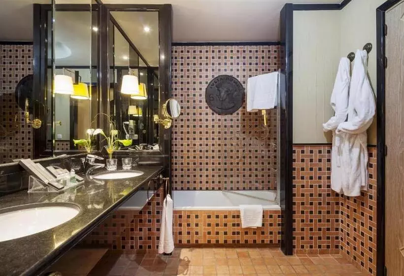 Fotos del hotel Ilunion Mérida Palace:  20