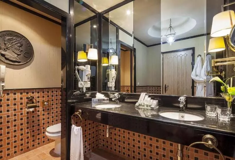 Fotos del hotel Ilunion Mérida Palace:  19