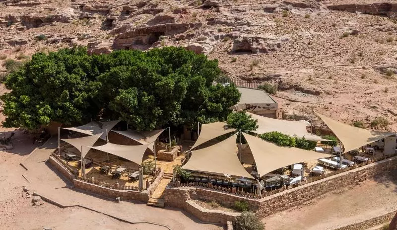 Fotos del hotel Petra Guest House:  18