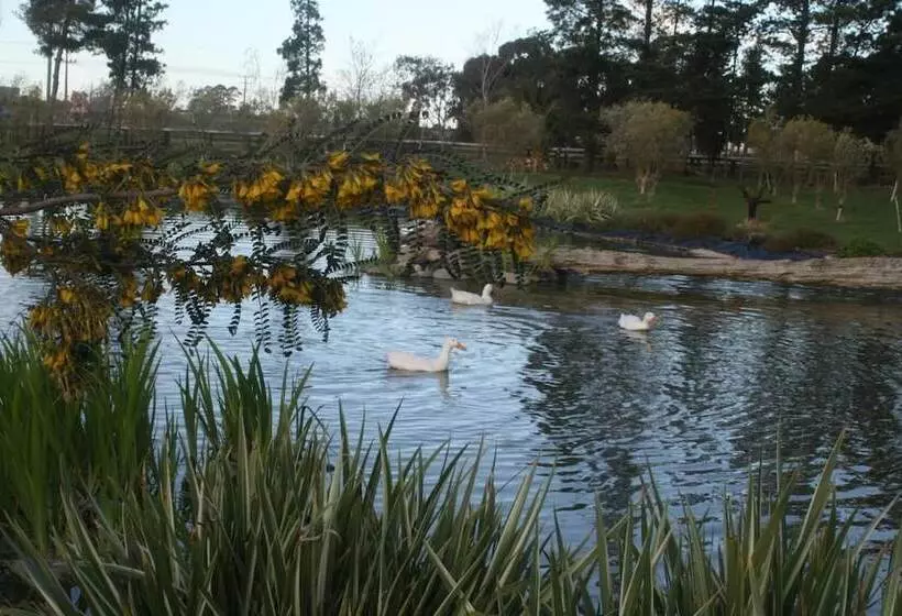 Fotos del hotel The Peppertree Luxury Accommodation:  14