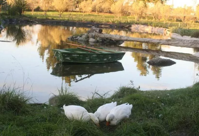 Fotos del hotel The Peppertree Luxury Accommodation:  8