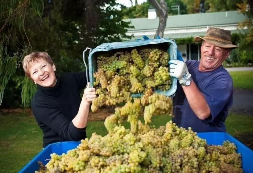 Fotos del hotel The Peppertree Luxury Accommodation:  10