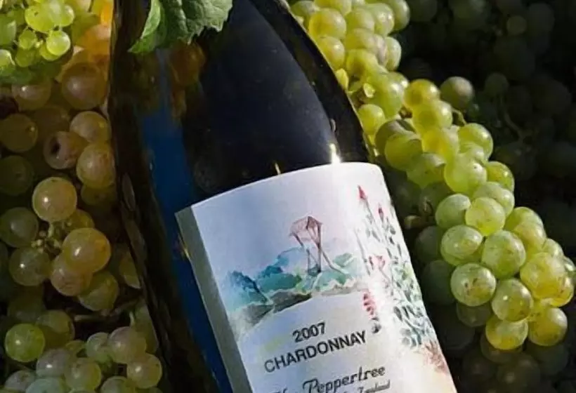 Fotos del hotel The Peppertree Luxury Accommodation:  11