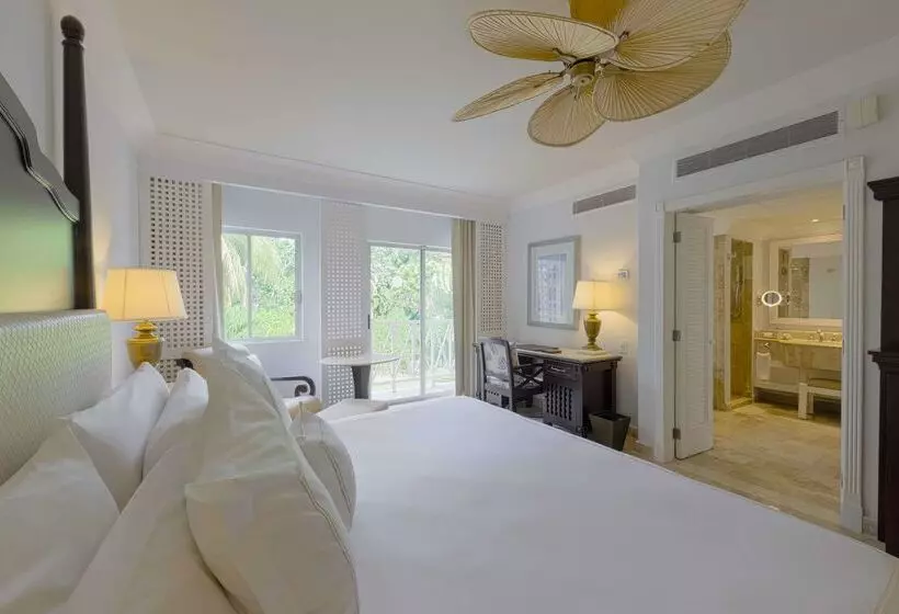 Fotos del hotel Royal Hideaway Playacar Allinclusive Adults Only Resort:  22