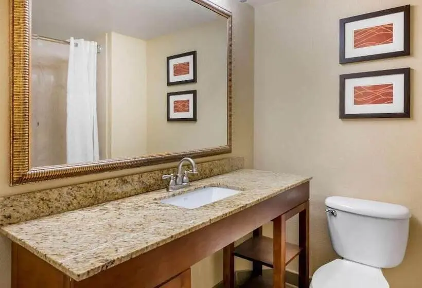 Fotos del hotel Comfort Inn International Drive:  6
