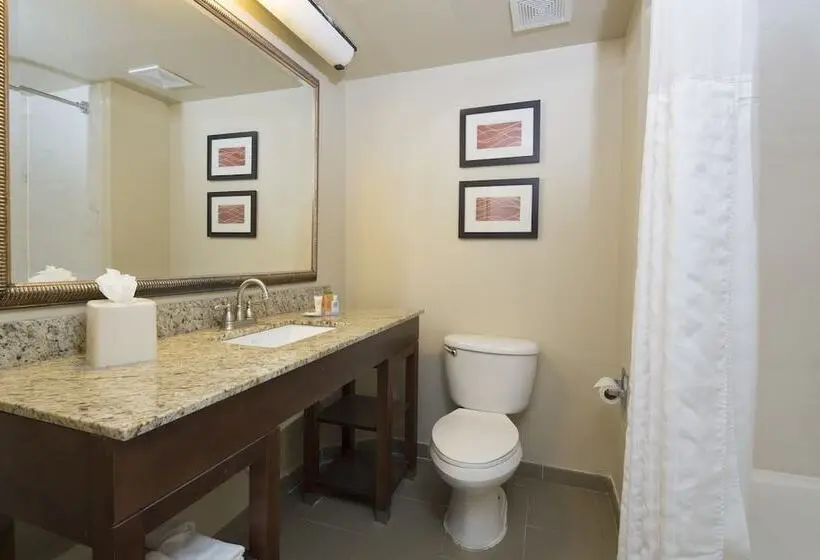Fotos del hotel Comfort Inn International Drive:  10