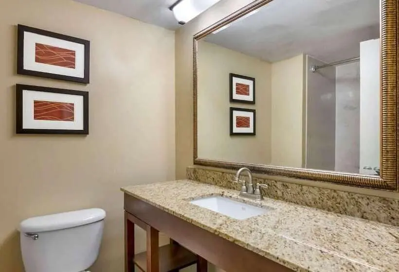 Fotos del hotel Comfort Inn International Drive:  12
