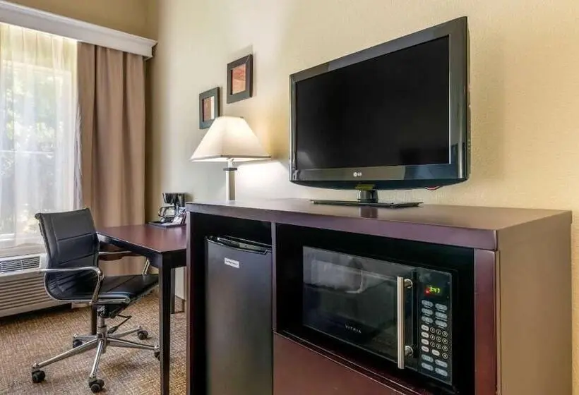 Fotos del hotel Comfort Inn International Drive:  13