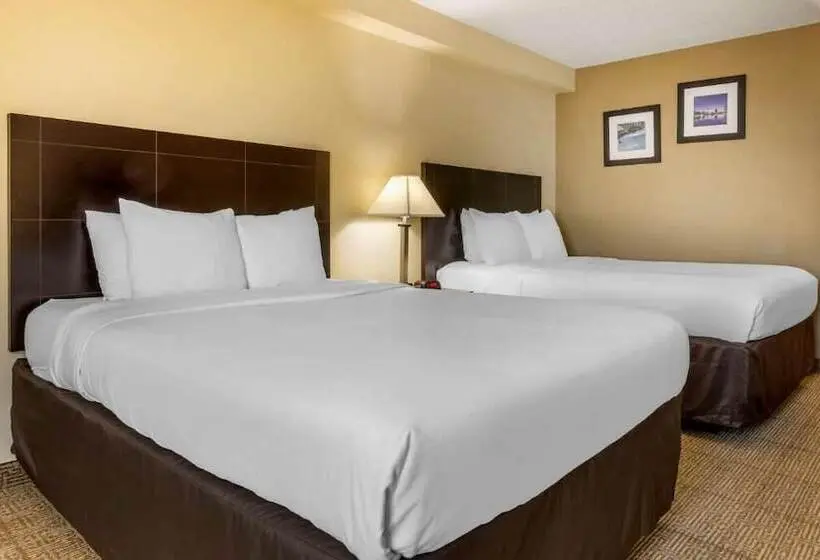 Fotos del hotel Comfort Inn International Drive:  8