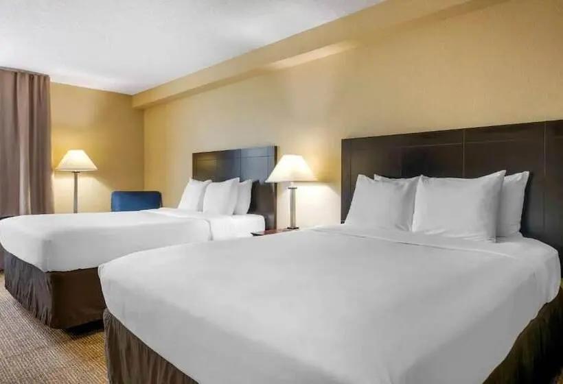 Fotos del hotel Comfort Inn International Drive:  11