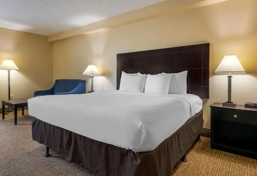 Fotos del hotel Comfort Inn International Drive:  2