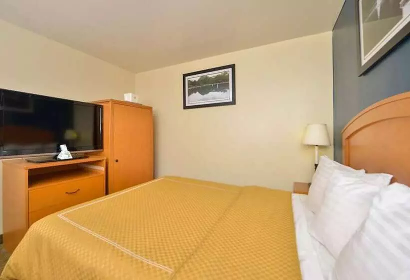 Fotos del hotel Midtown Convention Center:  8