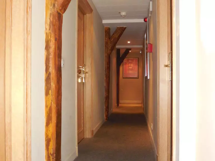 Fotos del hotel Cardinal Rive Gauche:  9