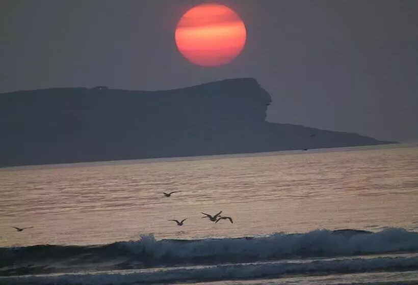 Fotos del hotel Estrella Del Alemar:  17