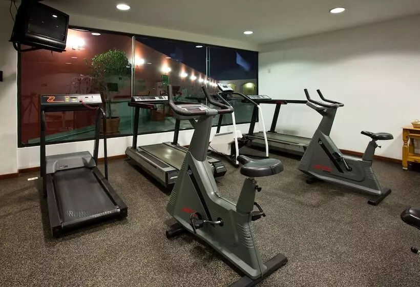 Fotos del hotel Holiday Inn Puebla La Noria, An Ihg:  10