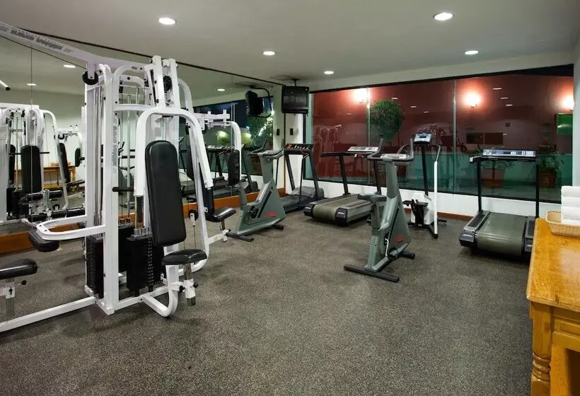 Fotos del hotel Holiday Inn Puebla La Noria, An Ihg:  4