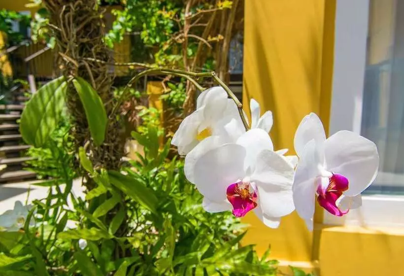 Fotos del hotel La Chimère Buzios Essence:  17