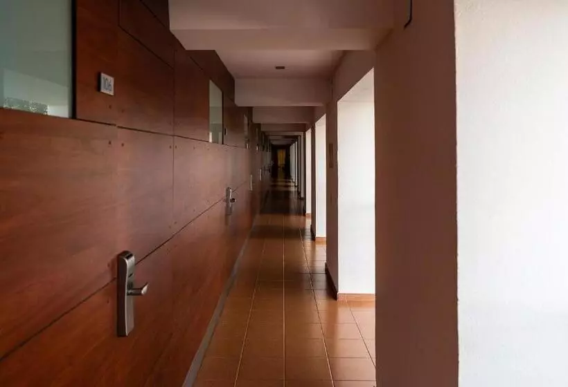 Fotos del hotel Alcossebre Castellón:  4