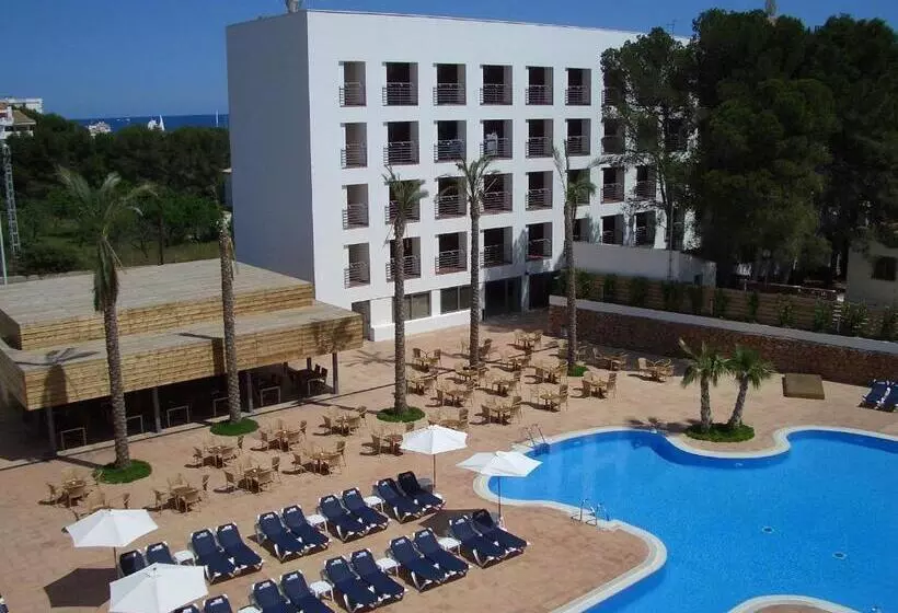 Fotos del hotel Alcossebre Castellón:  10