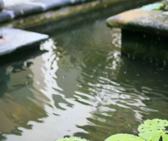 Fotos del hotel Legian Paradiso:  12