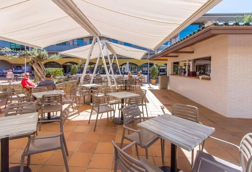 Fotos del hotel Mediterraneo:  11