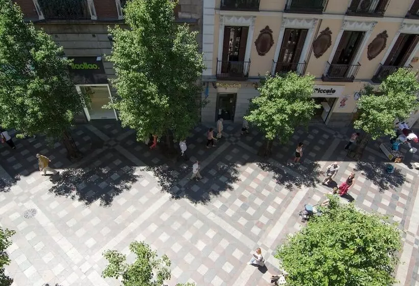 Fotos del hotel Petit Palace Arenal:  4