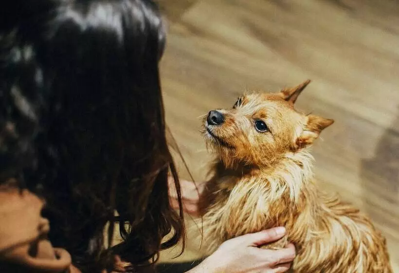 Fotos del hotel Petit Palace Arenal:  15