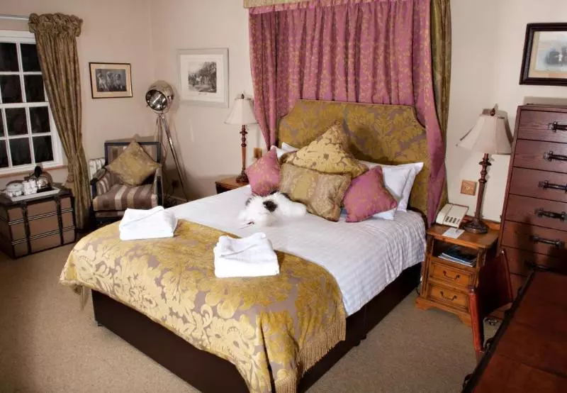 Fotos del hotel The Wild Boar:  13