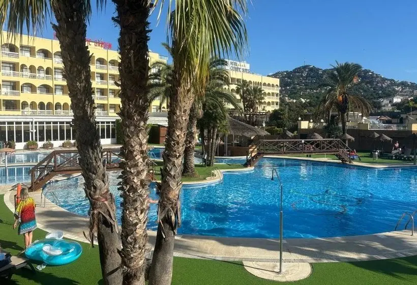 Fotos del hotel Evenia Olympic Suites:  16