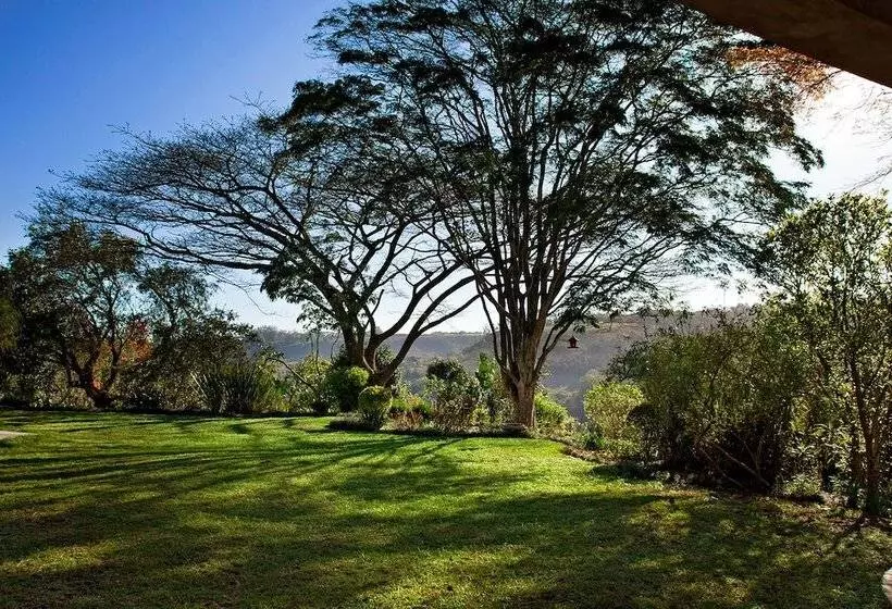 Fotos del hotel Matusadona Guest Lodge:  15