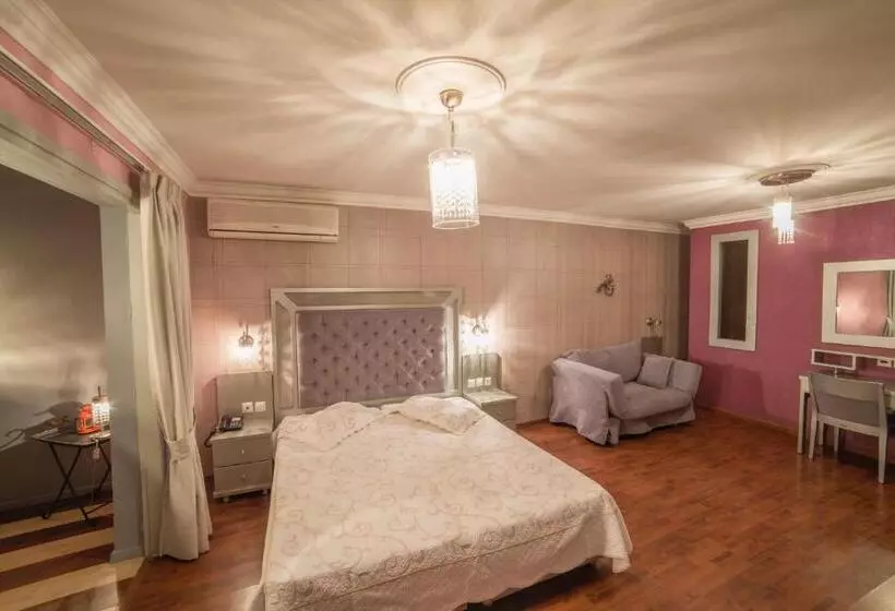 Fotos del hotel Delphi Art:  21