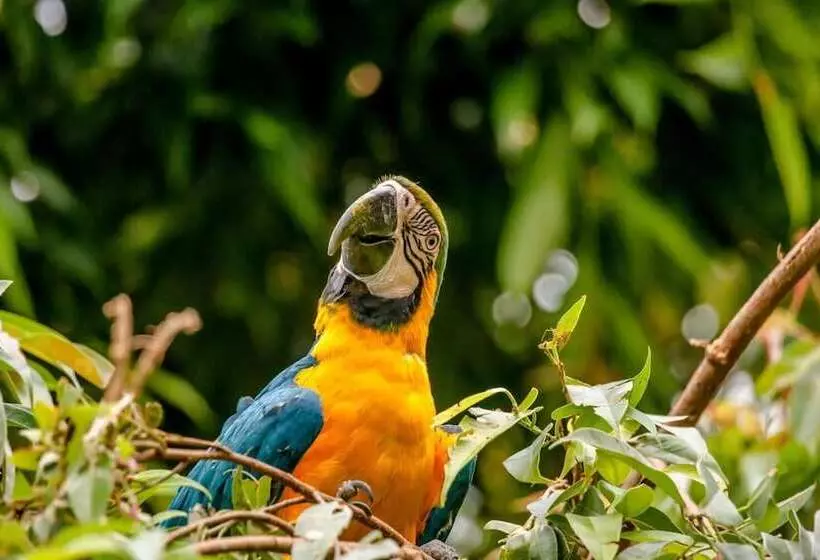 Fotos del hotel Travelodge By Wyndham Niagara Falls At The Falls:  5