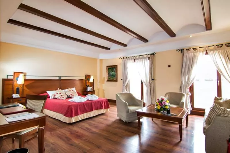 Fotos del hotel Abades Guadix:  5