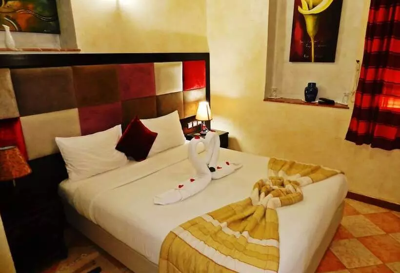 Fotos del hotel Al Jasira:  10