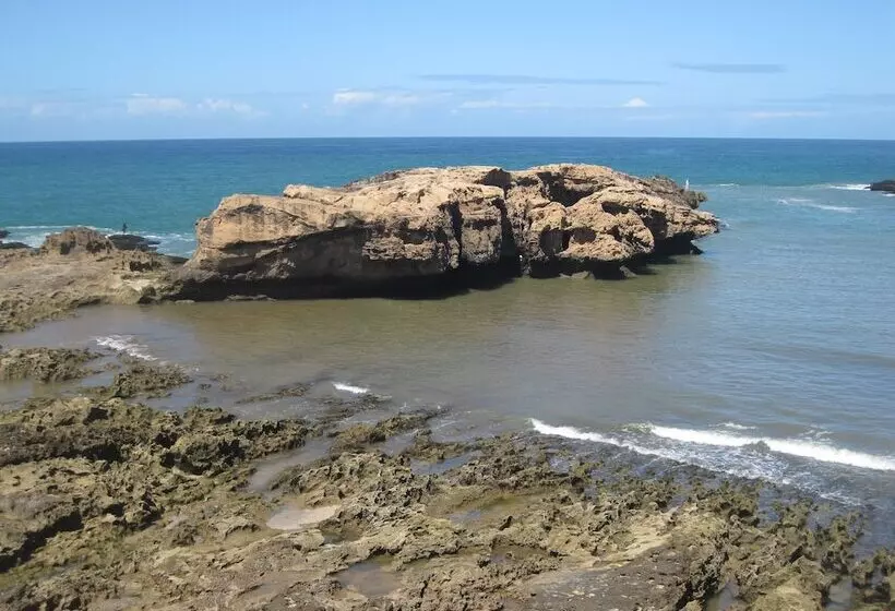 Fotos del hotel Dar Al Bahar:  9