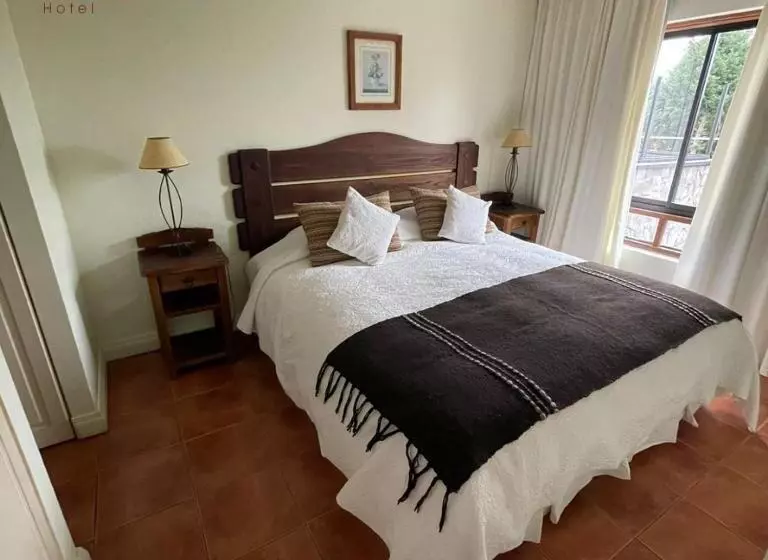 Fotos del hotel Del Volcán:  18