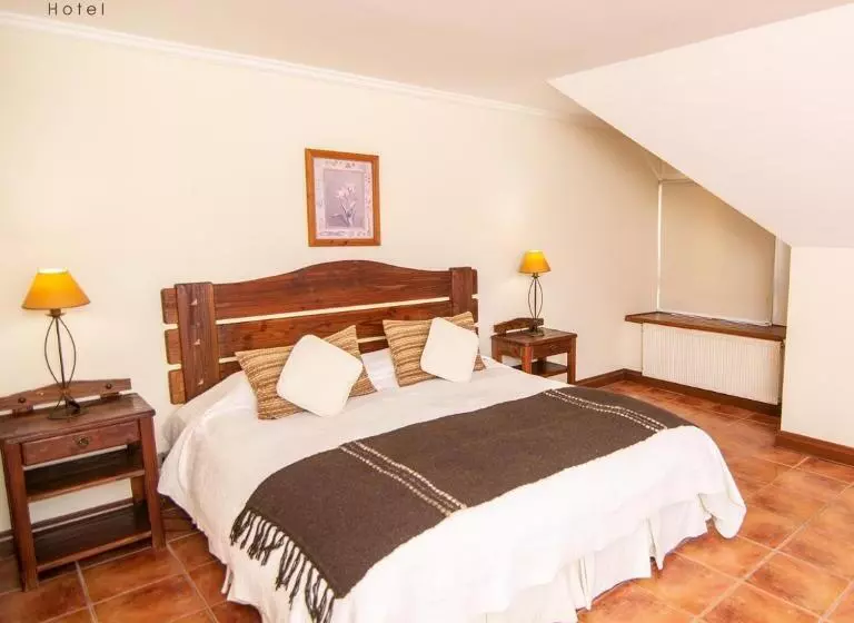 Fotos del hotel Del Volcán:  8