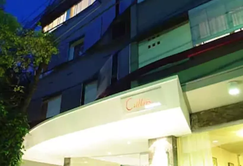 Fotos del hotel Crillon Mendoza:  16