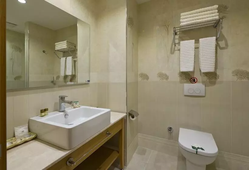 Fotos del hotel Olimpiyat:  15