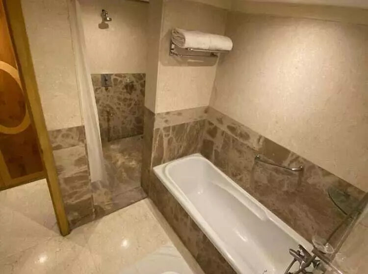 Fotos del hotel Katriya Hotel & Towers:  8