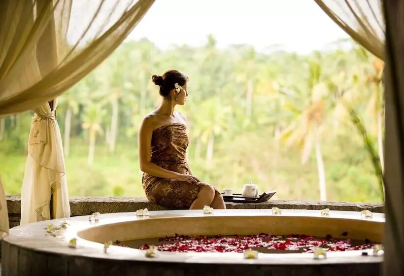 Fotos del hotel The Payogan Villa Resort And Spa:  12