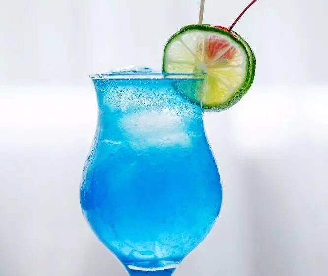 Fotos del hotel Zephyr Suites Boutique:  11