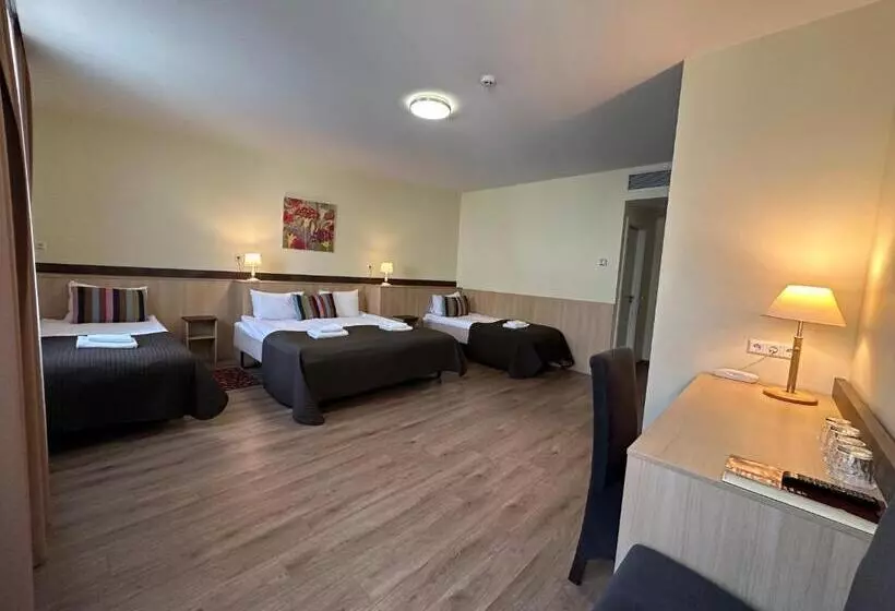 Fotos del hotel City Gate:  6