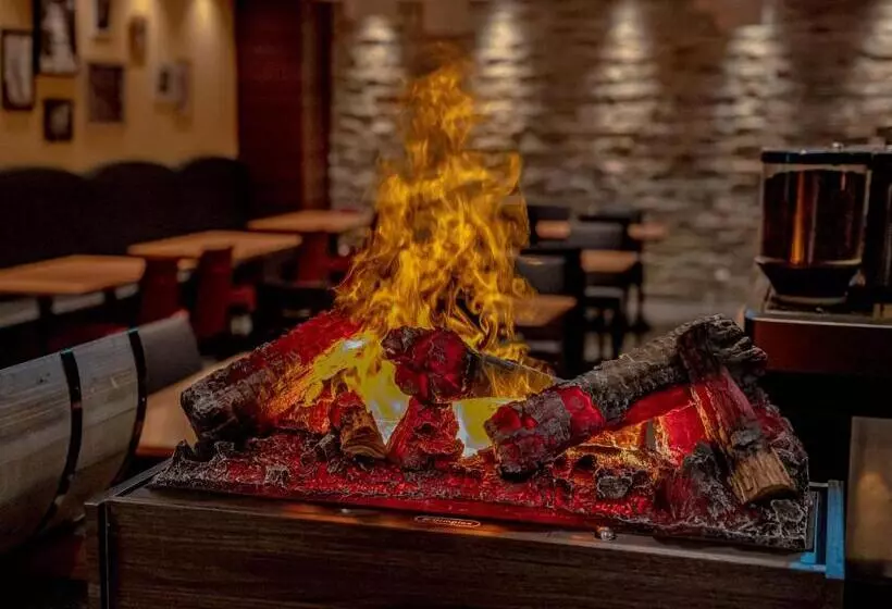 Fotos del hotel Mystays Shin Osaka Conference Center:  25