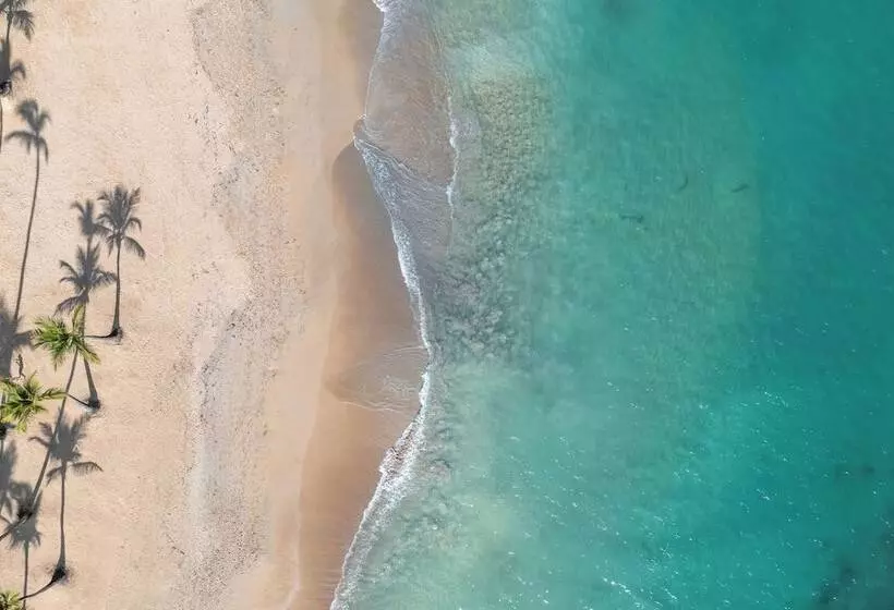 Fotos del hotel Dreams Punta Cana:  15