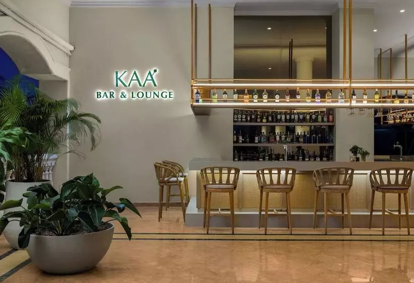 Fotos del hotel Dreams Punta Cana:  17