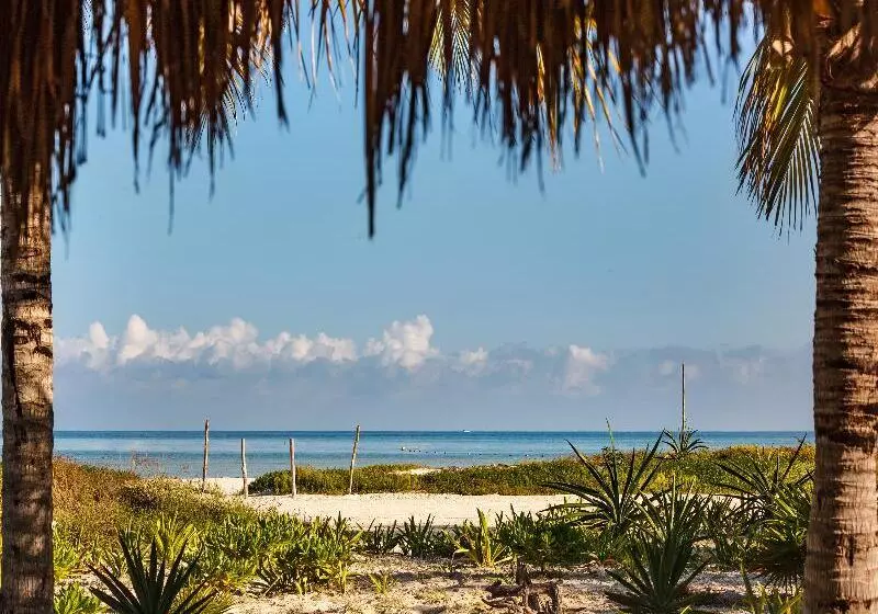 Fotos del hotel Villas Hm Paraiso Del Mar:  16