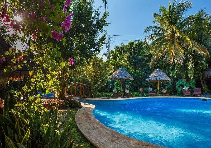 Fotos del hotel Villas Hm Paraiso Del Mar:  2